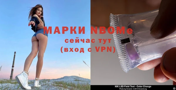 шишки Волосово